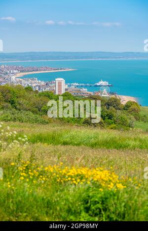 Blick auf Eastbourne von oben auf die Stadt bei Beachy Head, Eastbourne, East Sussex, England, Großbritannien, Europa Stockfoto