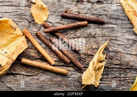 Zigarillos und trockenes Tabakblatt auf Holzhintergrund Stockfoto