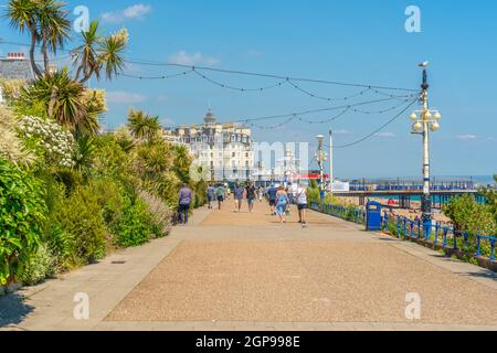 Blick auf die Strandpromenade und den Pier im Sommer, Eastbourne, East Sussex, England, Vereinigtes Königreich, Europa Stockfoto