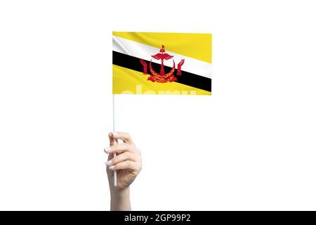 Schöne weibliche Hand hält Brunei Flagge, isoliert auf weißem Hintergrund. Stockfoto