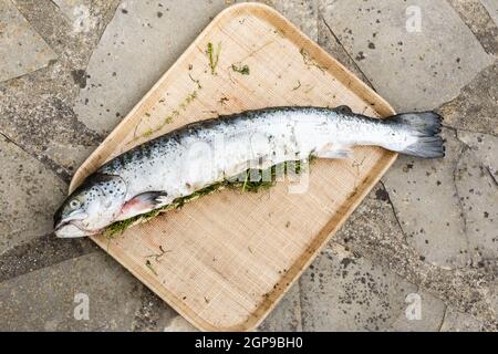 Lachs gefüllt mit Kräutern auf dem Grill gegrillt werden. Stockfoto