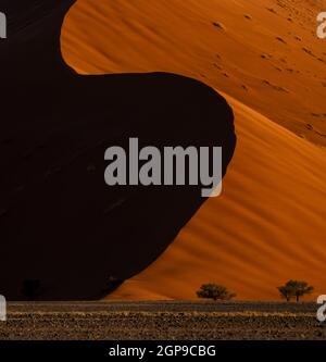 Eine der größten Dünen der Welt im nationalpark sossusvlei, wo sich die älteste Wüste der Welt, die namib, befindet. Namibia Stockfoto