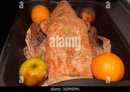 Braten Sie Gans gefüllt mit gebackenen Äpfeln und Orangen in einer Pfanne, festliche Weihnachtsrezept. Draufsicht mit Kopierbereich. Stockfoto