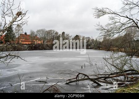 Winterlandschaft. Ein kleiner gefrorener Teich am Rande der Stadt Eberswalde. Brandenburg. Deutschland. Stockfoto