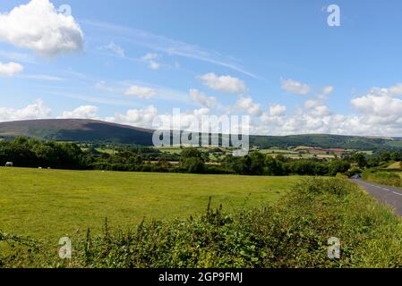 Landschaft mit einer Straße in die wunderschöne Landschaft mit Wiesen, Bäume und Vieh zu Weiden, im hellen Licht und bewölktem Himmel Stockfoto