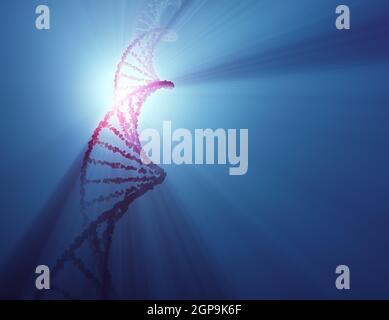 DNA-Molekül mit Hintergrundbeleuchtung. Genetischer Code, helikale Moleküle. Beschneidungspfad enthalten. Stockfoto