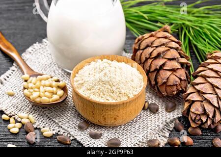 Zedernmehl in einer Schüssel, Nüsse und zwei Zapfen, Löffel mit geschälten Nüssen auf Esche, grünen Zweig und Zedernmilch in einem Krug auf Holzbrett Hintergrund Stockfoto
