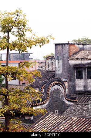 Das traditionelle Dach der Shawan-Altstadt, die in Guangzhou als Wok-Dächer mit Griffform bezeichnet wird. Die geschwungenen Dächer im Lingnan-Stil in der Altstadt .traditionelle Architektur Stockfoto