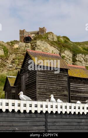 Verkürzung von Möwen und alten, in Holz gebauten und schwarz lackierten Netzhütten unter der Klippe im historischen Dorf Hastings, East Sussex Stockfoto