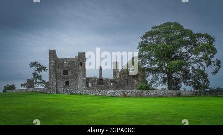 Alte Ruinen der Christian Bective Abbey aus dem 12th. Jahrhundert mit großem grünen Baum und Feld, launisch dunklen Himmel im Hintergrund, County Meath, Irland Stockfoto