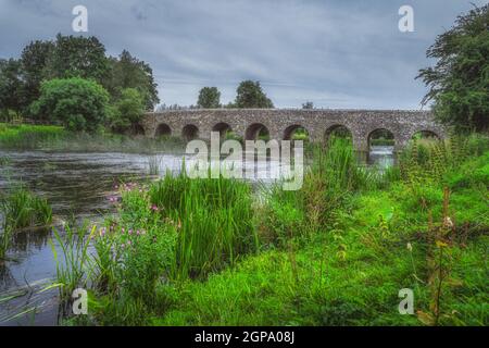 Blick vom Flussufer mit grünem Gras und Pflanzen auf den alten Steinbogen aus dem 12th. Jahrhundert Bective Bridge über den Boyne River, Count Meath, Irland Stockfoto