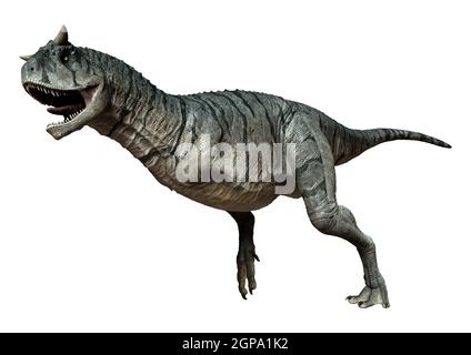 3D Darstellung eines Carnotaurus Sastrei Dinosauriers oder Fleischessens Bull isoliert auf weißem Hintergrund Stockfoto