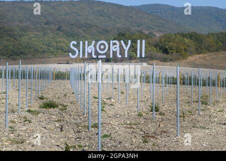 Noworossijsk, Russland - 30. September 2017: Sikory 2 Weinberge in den Hügeln der Sikory Weingut 2. Stockfoto