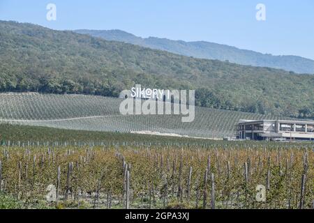 Noworossijsk, Russland - 30. September 2017: Sikory 2 Weinberge in den Hügeln der Sikory Weingut 2. Stockfoto