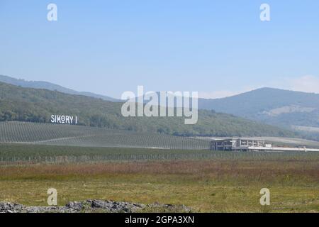 Noworossijsk, Russland - 30. September 2017: Sikory 2 Weinberge in den Hügeln der Sikory Weingut 2. Stockfoto