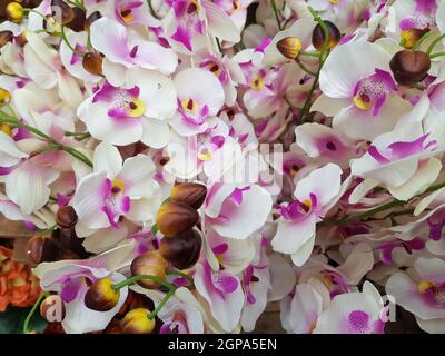 Luxus Strauß roter Rosen in Flower Shop Valentinstag Blumenstrauß aus roten Rosen Stockfoto