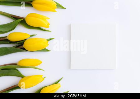 Flaches Lay mit gelben Tulpenblüten, leerer Bilderrahmen auf weißem Hintergrund. Konzept für Grußkarte für Ostern, Muttertag, Internationale Frauen Stockfoto