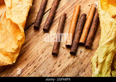 Zigarillos und trockenes Tabakblatt auf Holzhintergrund Stockfoto