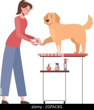 Die Frau schneidet die Krallen des Golden Retriever. Hundepflege. Vektordarstellung auf weißem Hintergrund isoliert. Cartoon-Stil Stock Vektor