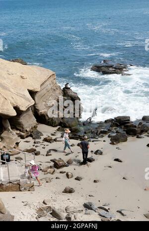 Menschen und Seelöwen teilen sich einen Strand in La Jolla, CA Stockfoto