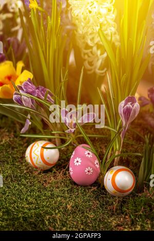 Osterhintergrund mit Frühlingsblüten und Ostereiern Stockfoto