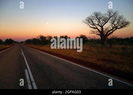 Vollmonduntergang über dem Kimberley Highway kurz vor Sonnenaufgang, in der Nähe von Fitzroy Crossing, Westaustralien Stockfoto