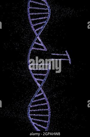 Helical DNA Code mit gruppierten Kugeln bilden genetische Moleküle. Stockfoto