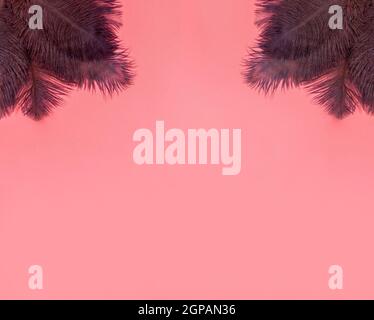 Abstrakt weichen rosa Hintergrund mit braunen Federn, Hintergrundtextur Draufsicht mit Copy Space, Retro modernes Design flach Lay-Platz für Text sein Stockfoto