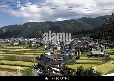 Nozawa onsen, Nagano, Japan, 2021-26-09 , Reisfelder in Nozawaonsen Stockfoto