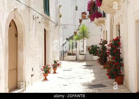 Blühende Gasse im historischen Zentrum von Locorotondo mit weißen Wänden in Apulien, Italien Stockfoto