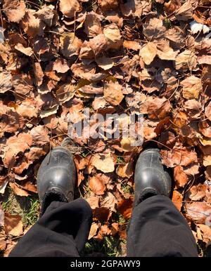 Die Beine schlagen in Galoschen vor dem Hintergrund gefallener Blätter Stockfoto