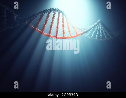 DNA-Molekül mit Rücklicht, das Schatten und Lichtstrahlen erzeugt. 3D Abbildung mit Beschneidungspfad enthalten. Stockfoto