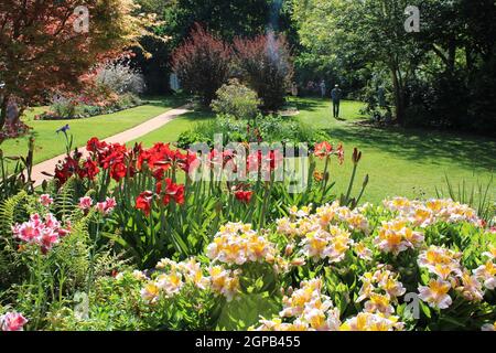 Private, private Gärten in Queensland, Australien. Gartenarbeit mit Annuals und Stauden. Stockfoto