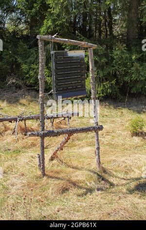 Box mit Insekten Pheromone in den Wald, Trap für große Fichte Borkenkäfer. Stockfoto