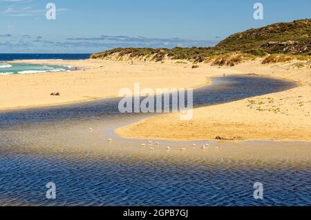 Die Mündung des Margaret River am nördlichen Ende der Calgardup Bay - Prevelly, WA, Australien Stockfoto