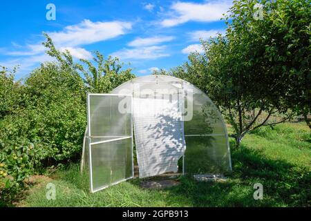 Gewächshaus Polycarbonat in einem privaten Garten. Ackerland. Stockfoto