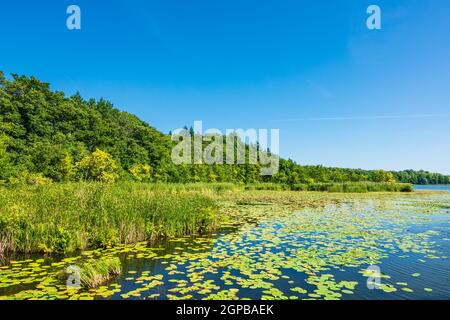 Landschaft auf einem See in Templin, Deutschland. Stockfoto