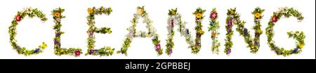 Blume, Zweige Und Blossom Letter Building Englisch Wortreinigung. Weißer Isolierter Hintergrund Stockfoto