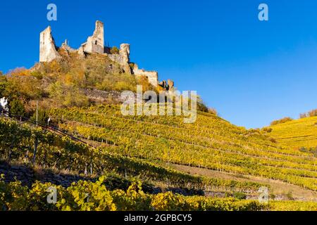 Ruinen von Senftenberg, Bezirk Krems-Land, Oberösterreich, Österreich Stockfoto