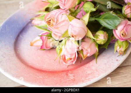 Bouquet von kleinen rosa Nelke Teerosen auf rosa und lila Gradienten Platte close up Stockfoto