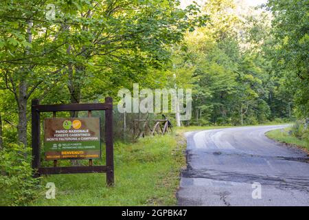 Passo della Braccina, Nationalpark Foreste Casentinesi, Monte Falterona, Campigna (Parco Nazionale delle Foreste Casentinesi, Monte Falterona e Campi Stockfoto