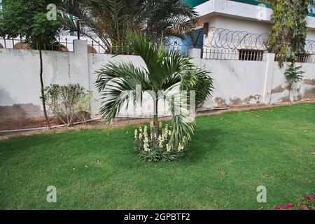 Der kleine Garten der Tooba Moschee in Karachi, Pakistan Stockfoto