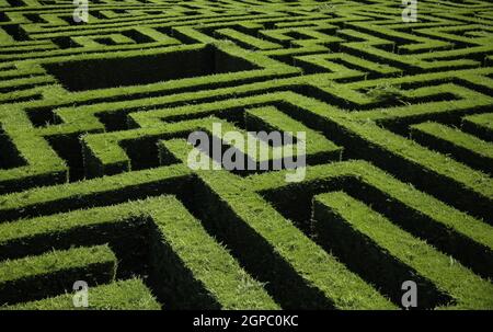 Labyrinth Detail in einem Wald, Spiel und Spaß Stockfoto
