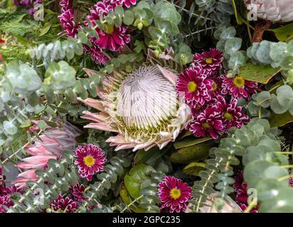 Schönheit floristische Dekoration mit bunten tropischen Blumen Stockfoto
