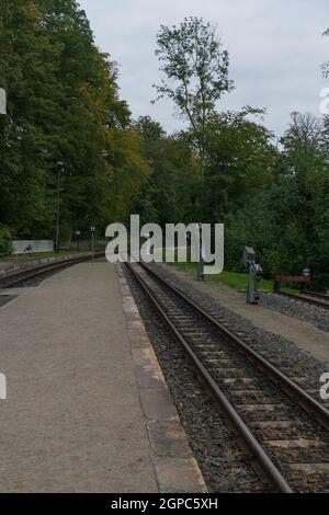 Bahn von der deutschen Trai genannt Molly in der Nähe der deutschen Stadt Bad Doberan, Mecklenburg-Vorpommern Stockfoto