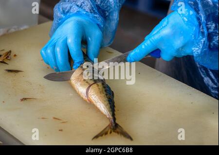 Ein Arbeiter schneidet geräucherte Makrelen mit einem Messer in Stücke. Stockfoto