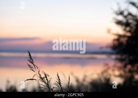 Lange Exposition Vanille bunten Himmel und See Reflexion mit Bergen im Hintergrund. Wildgras weht im Wind im Vordergrund Stockfoto