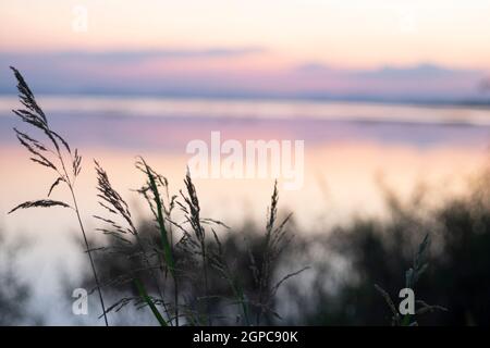 Lange Exposition Vanille bunten Himmel und See Reflexion mit Bergen im Hintergrund. Wildgras weht im Wind im Vordergrund Stockfoto