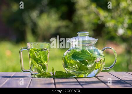 Gesunder Brennnesseltee in einer Glas-Teekocher und Becher im Sommergarten auf Holztisch. Nahaufnahme von Kräutertee aus den grünen Brennnesselblüten auf der Natur zurück Stockfoto