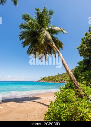 Traum Seascape Küste - idyllisches Paradies Palmenstrand Anse Major auf der Nordwestseite der Insel Mahé, Seychellen, Indischer Ozean, Ost-Afrika Stockfoto